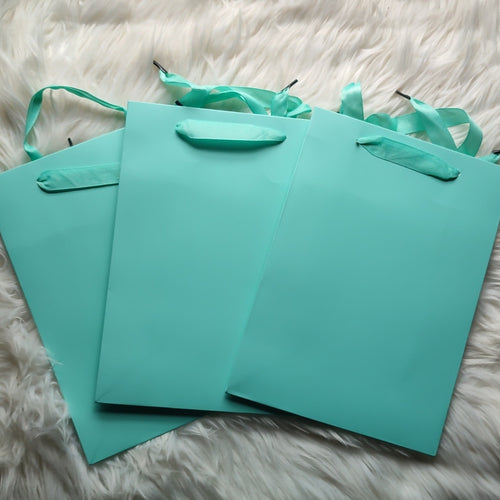 Ribbon Handle Paper Bags (24pk)